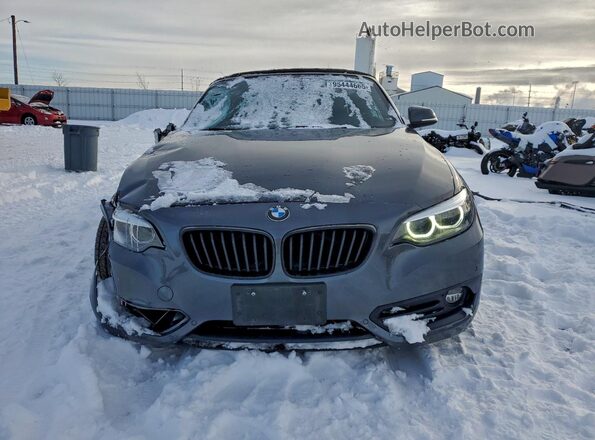 WBA2K1C01L7G10800 2020 BMW 2 SERIES Gray Widok z przodu