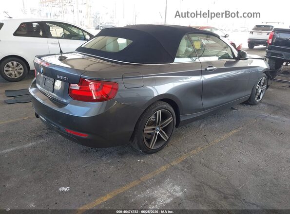 WBA2K9C56HV647061 2017 BMW 2 SERIES Gray უკანა მარჯვენა
