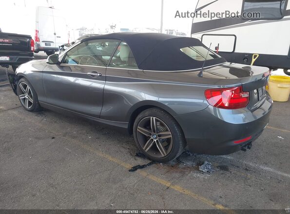WBA2K9C56HV647061 2017 BMW 2 SERIES Gray უკანა მარცხენა