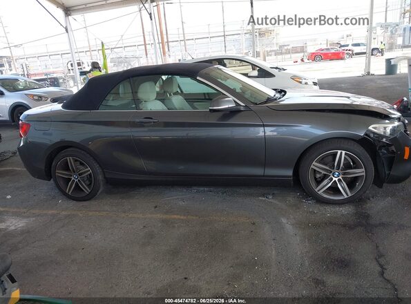WBA2K9C56HV647061 2017 BMW 2 SERIES Gray უკანა სალონის ხედი