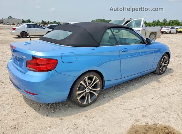 WBA2M7C55JVA97648 2018 BMW 2 SERIES Blue Հետևի աջ