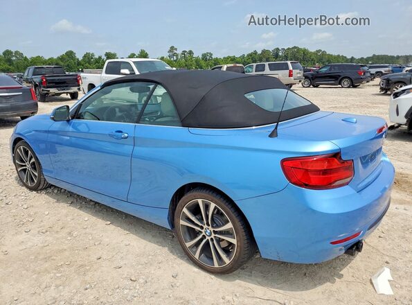 WBA2M7C55JVA97648 2018 BMW 2 SERIES Blue Հետևի ձախ