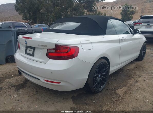WBA2M9C3XHV717749 2017 BMW 2 SERIES White Задня права чверть