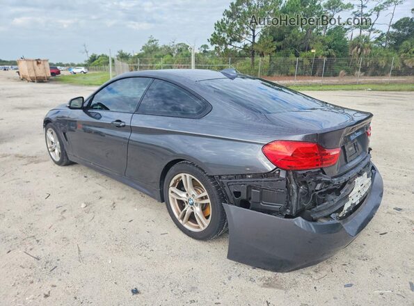 WBA3R1C50GK529203 2016 BMW 4 SERIES Gray Հետևի ձախ