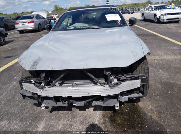 WBA53AT08PCM65467 2023 BMW M4 Gray Widok z przodu