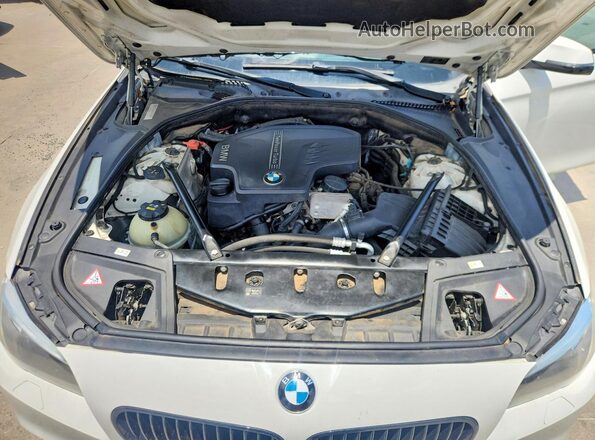 WBA5A5C5XGD529379 2016 BMW 5 SERIES White Rear interior view