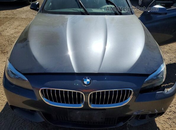 WBA5A7C50GG642512 2016 BMW 5 SERIES Charcoal Սալոնի հետևի տեսք