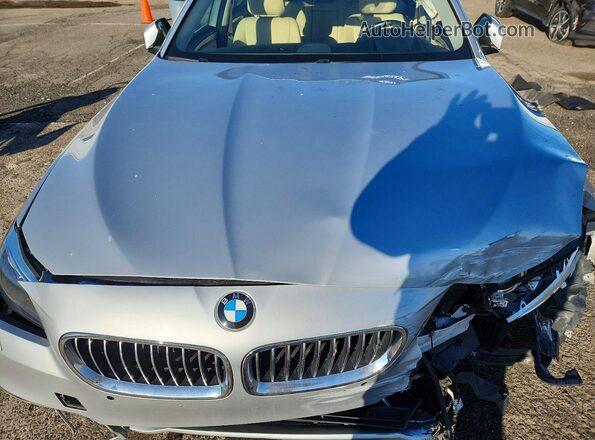 WBA5B3C50GG255920 2016 BMW 5 SERIES Silver Вид задньої частини салону