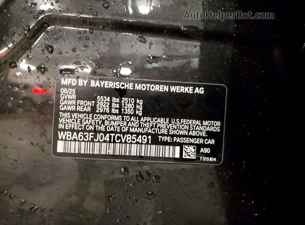 WBA63FJ04TCV85491 2026 BMW 5 SERIES Charcoal Vista del compartimento del motor