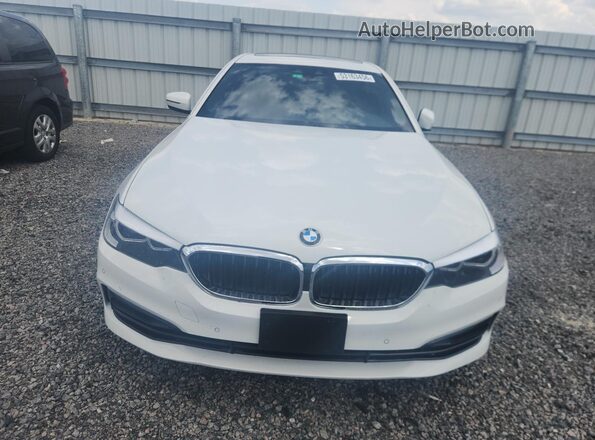 WBAJR3C03LWW78022 2020 BMW 5 SERIES Two Tone 
