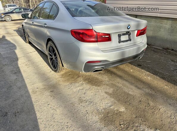 WBAJR7C01LWW65437 2020 BMW 5 SERIES Silver Հետևի ձախ