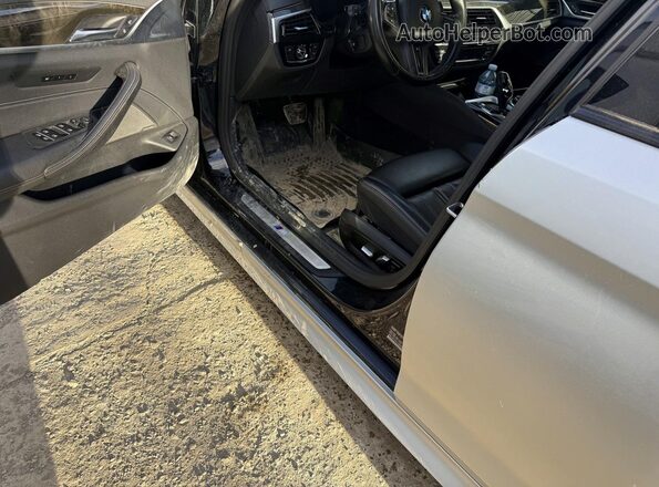 WBAJR7C01LWW65437 2020 BMW 5 SERIES Silver Հետևի տեսք