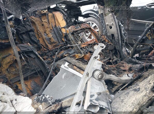 WBAJS1C07LCE66981 2020 BMW 5 SERIES Серый Вид салона спереди