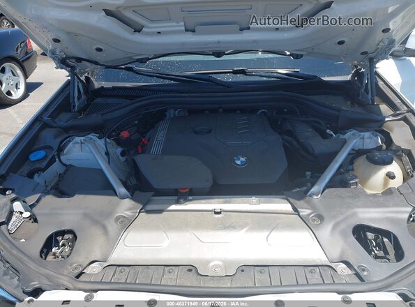 WBX47DP08RN295507 2024 BMW X3 White Հետևի տեսք