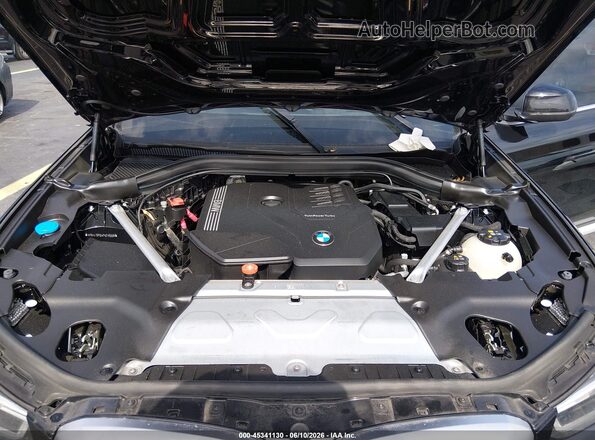 WBX47DP0XPN219008 2023 BMW X3 Черный Вид сзади