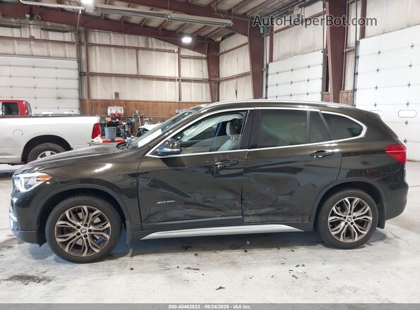 WBXHT3C34H5F85641 2017 BMW X1 Коричневый Панорамный вид салона 360°