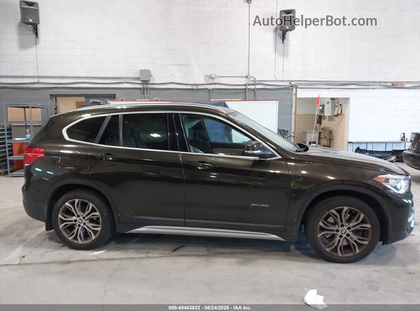 WBXHT3C34H5F85641 2017 BMW X1 Коричневый Вид задней части салона