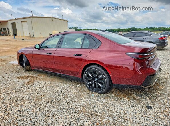 WBY53EJ05PCL62213 2023 BMW OTHER Maroon Trasero izquierdo