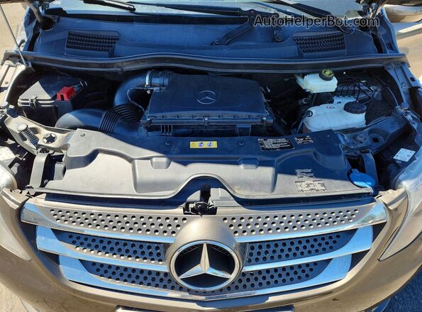 WD4PG2EE0G3150019 2016 MERCEDES-BENZ METRIS Brown Vista interior trasera