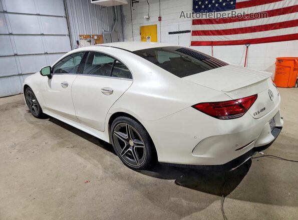 WDD2J5KB6KA030737 2019 MERCEDES-BENZ CLS-CLASS Белый Задняя левая четверть