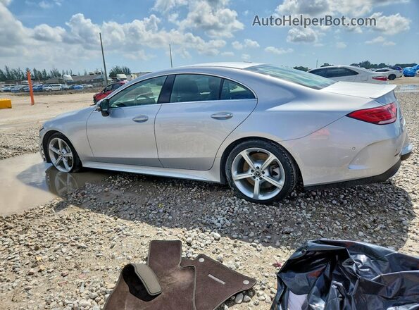 WDD2J5KB9KA029517 2019 MERCEDES-BENZ CLS-CLASS Silver Tył lewy