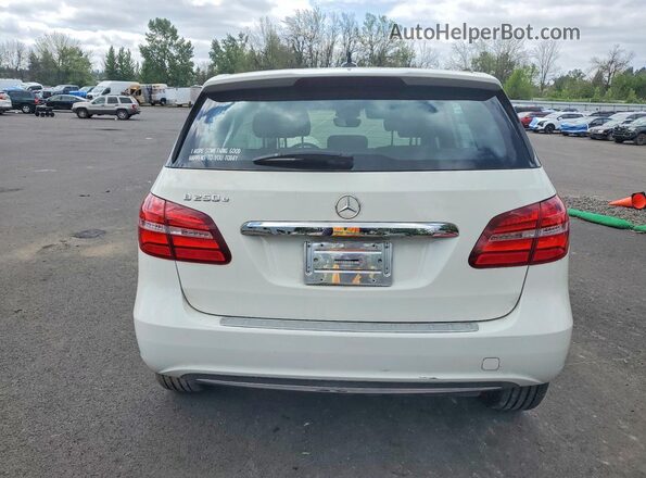 WDDVP9ABXGJ010650 2016 MERCEDES-BENZ B-CLASS White უკანა ხედი