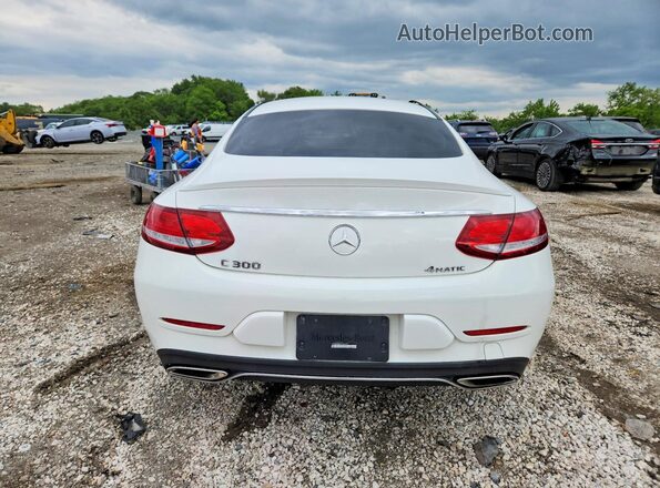 WDDWJ4KB6HF544594 2017 MERCEDES-BENZ C-CLASS Белый Вид сзади