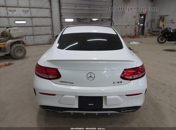 WDDWJ6EB1HF452672 2017 MERCEDES-BENZ AMG C 43 Белый 