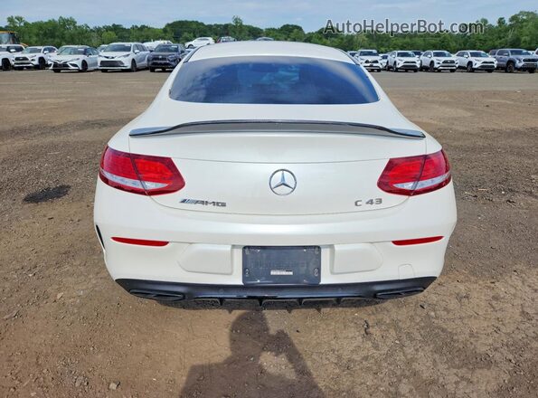 WDDWJ6EBXHF446658 2017 MERCEDES-BENZ C White 