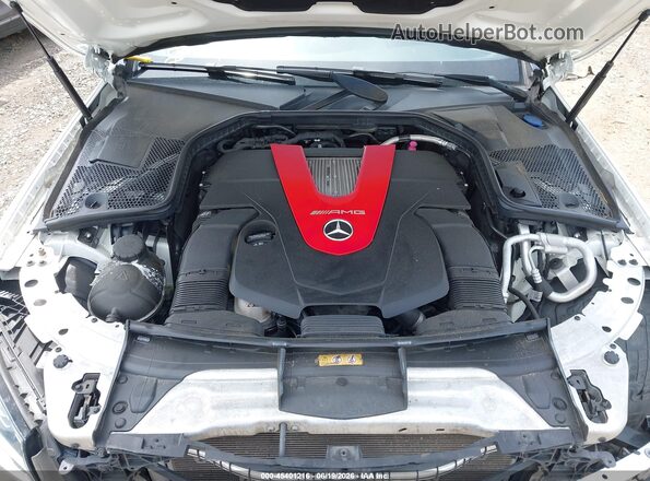WDDWK6EB1JF691271 2018 MERCEDES-BENZ AMG C 43 Белый Вид сзади