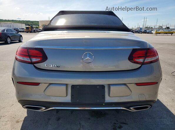 WDDWK8DB2KF928784 2019 MERCEDES-BENZ C Серебряный Вид сзади