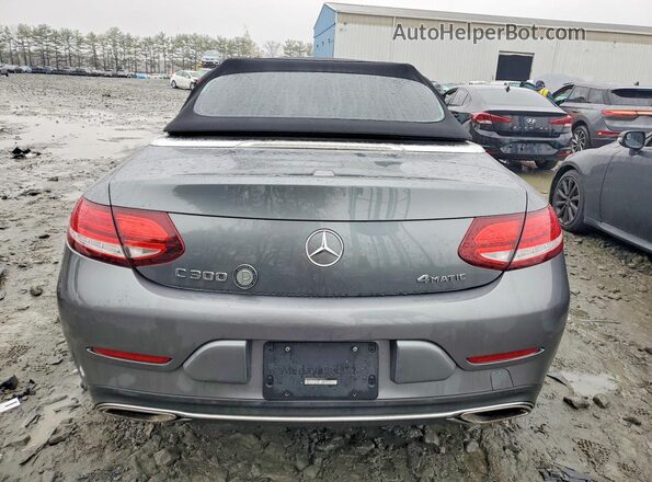 WDDWK8EBXKF782567 2019 MERCEDES-BENZ C Серый Вид сзади