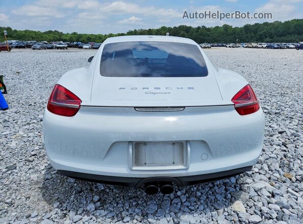 WP0AA2A85GK170130 2016 PORSCHE CAYMAN White Вид ззаду