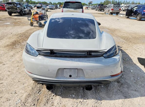 WP0AD2A83MS281701 2021 PORSCHE CAYMAN Gray Вид ззаду