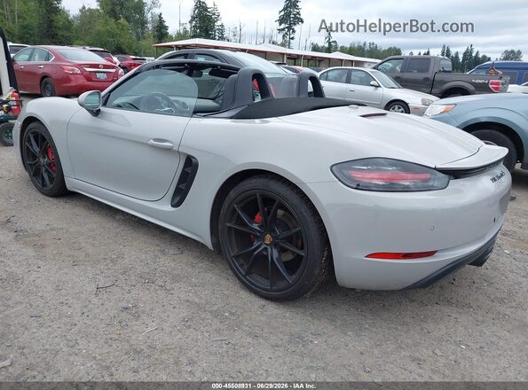 WP0CB2A80KS228742 2019 PORSCHE BOXSTER Silver უკანა მარცხენა