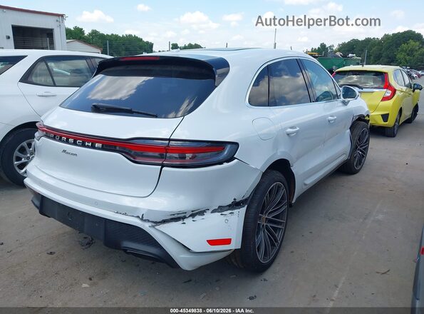 WP1AA2A57RLB16359 2024 PORSCHE MACAN Beige Trasero derecho
