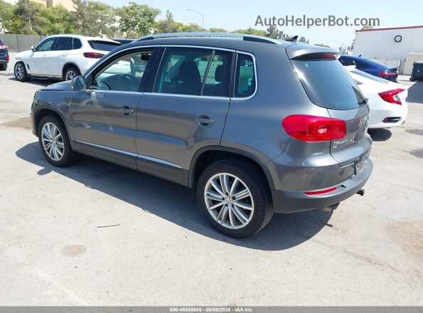 WVGAV7AX0GW611711 2016 VOLKSWAGEN TIGUAN Gray Tył lewy