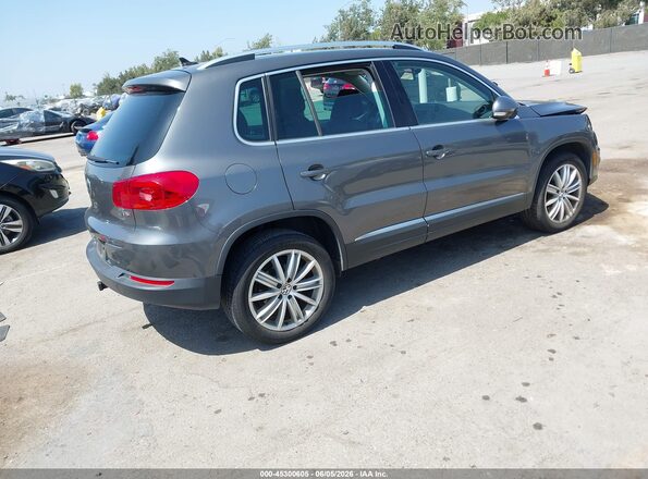 WVGAV7AX0GW611711 2016 VOLKSWAGEN TIGUAN Gray Tył prawy