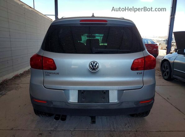 WVGAV7AX1GW580890 2016 VOLKSWAGEN TIGUAN Серебряный Вид сзади