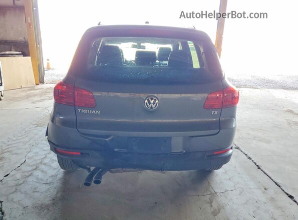 WVGAV7AX1GW603004 2016 VOLKSWAGEN TIGUAN Gray Вид ззаду