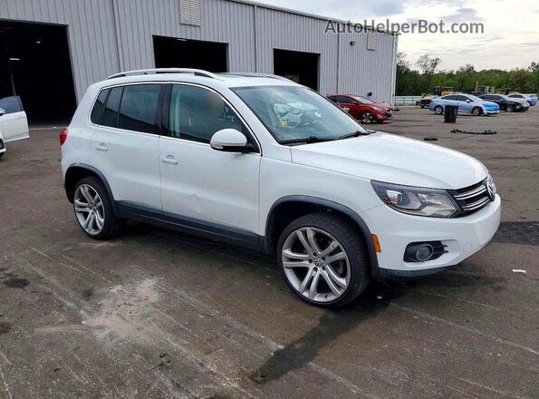 WVGAV7AX1GW610972 2016 VOLKSWAGEN TIGUAN White 