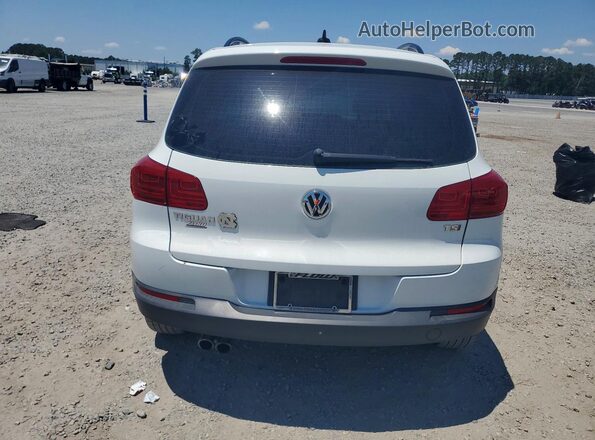 WVGAV7AX2HW512566 2017 VOLKSWAGEN TIGUAN White Հետևի տեսք