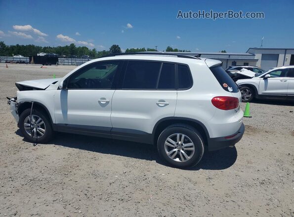 WVGAV7AX2HW512566 2017 VOLKSWAGEN TIGUAN White Հետևի ձախ