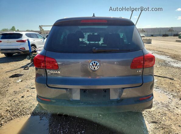 WVGAV7AX4GW512275 2016 VOLKSWAGEN TIGUAN Gray უკანა ხედი