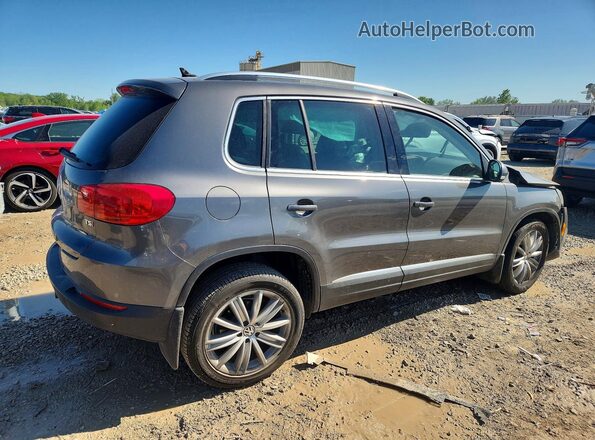 WVGAV7AX4GW512275 2016 VOLKSWAGEN TIGUAN Gray უკანა მარჯვენა