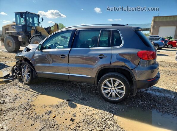 WVGAV7AX4GW512275 2016 VOLKSWAGEN TIGUAN Gray უკანა მარცხენა