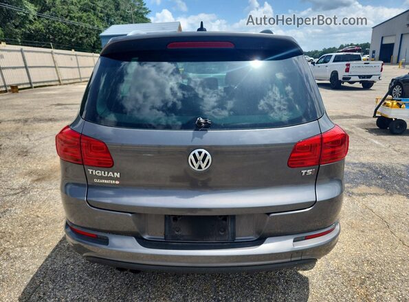 WVGAV7AX6GW603886 2016 VOLKSWAGEN TIGUAN Gray Rear view