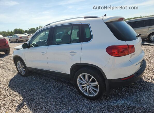 WVGAV7AX7GW509189 2016 VOLKSWAGEN TIGUAN White Հետևի ձախ