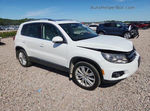 WVGAV7AX7GW509189 2016 VOLKSWAGEN TIGUAN White Առջևի աջ