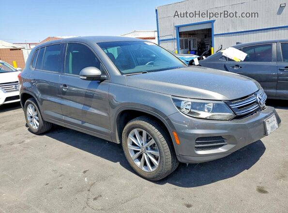 WVGAV7AX7HK046141 2017 VOLKSWAGEN TIGUAN Gray 